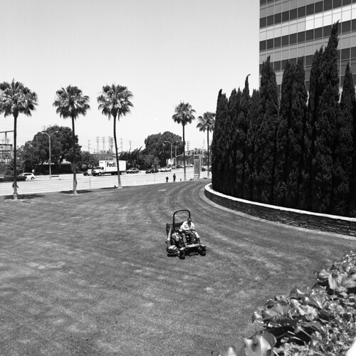 Lawnmower man El Segundo near the gigantic oil refinery Andrew