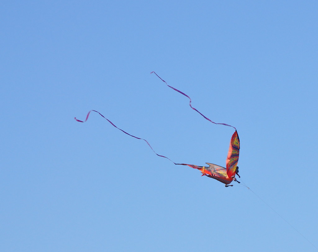 Kite flying at El Morro Great wind Mary Madigan Flickr