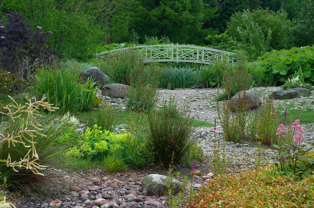 Bog garden The bog garden at Woburn Abbey Gardens. Kat Elliott Flickr