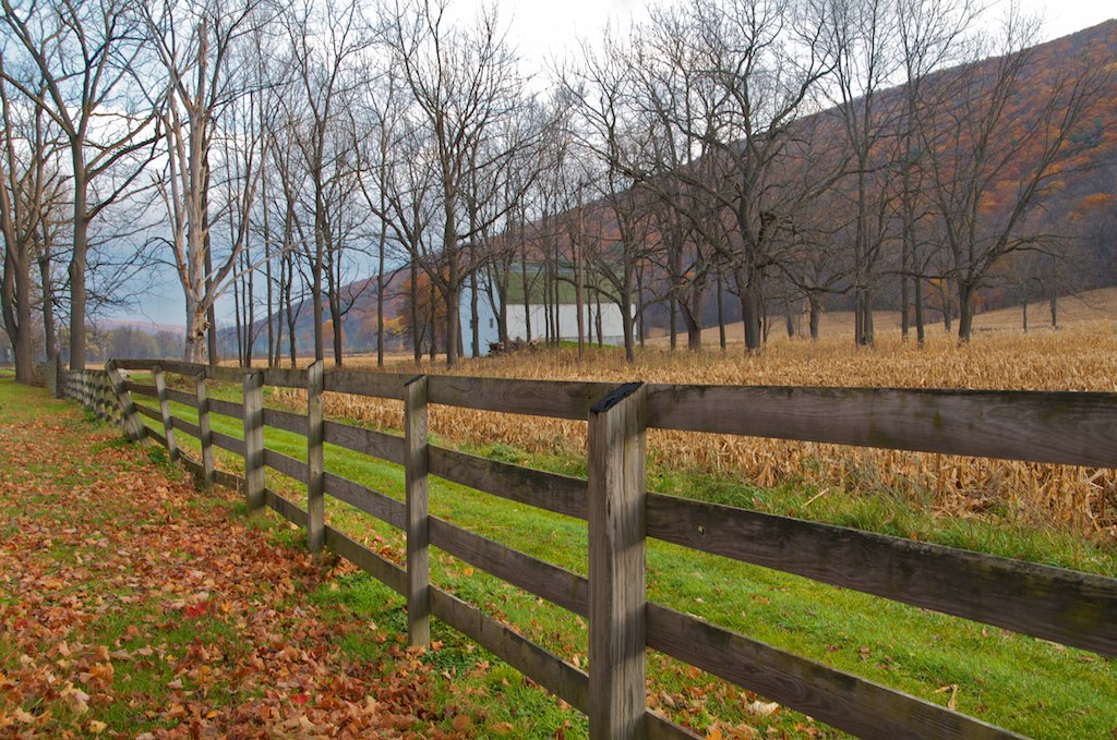 Italy Valley Road, Naples, New York Gayle Mosher Flickr