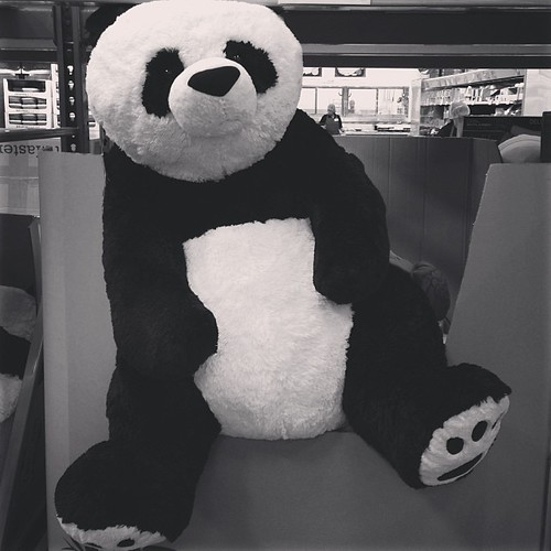 Big stuffed panda from Costco. 29.99 Felice Lam Flickr