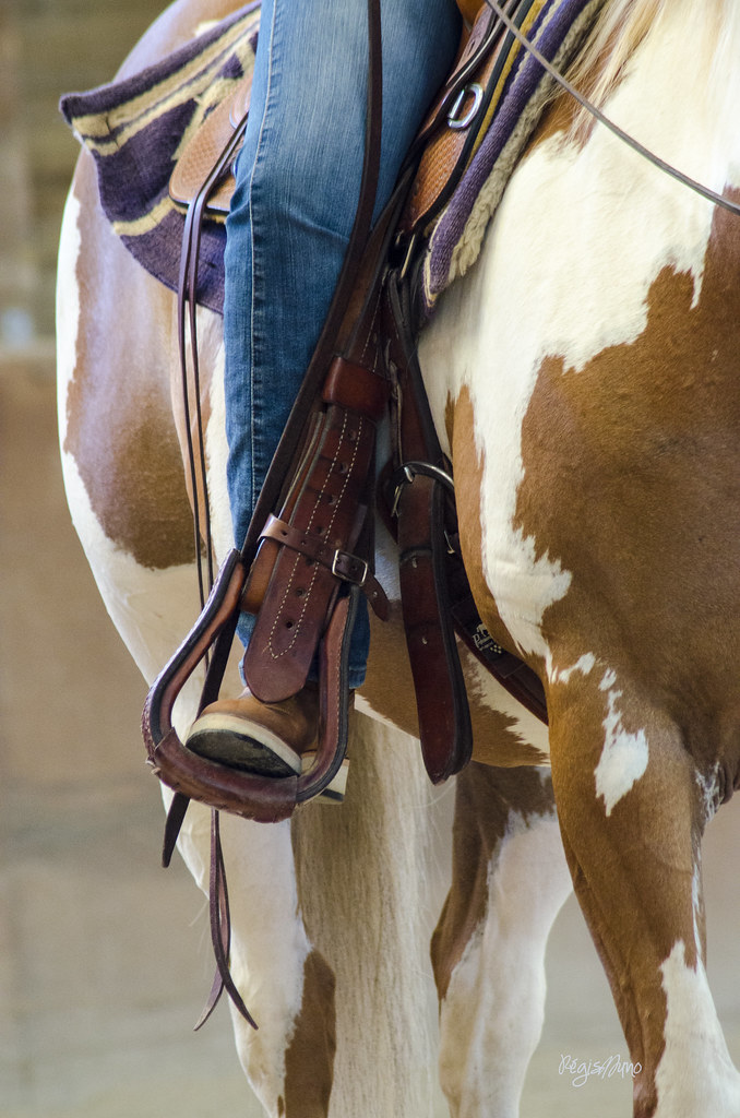Western riding_équitation western Western riding_équitatio… Flickr
