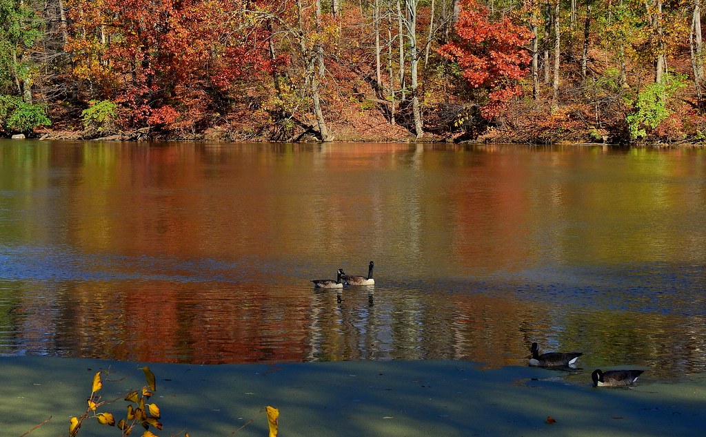 0167ex3 P900 rainbow lake reflections Sharon Woods Lake. C… Flickr