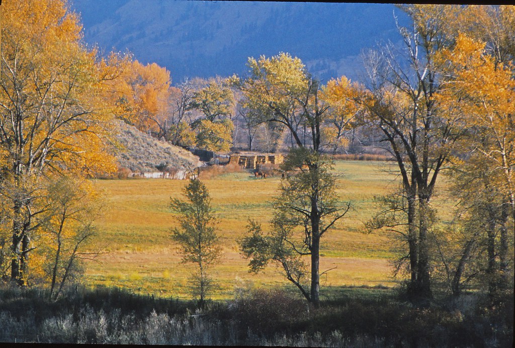 Oroville Nighthawk Road Near Palmer Lake 2 Fall colors on… Flickr