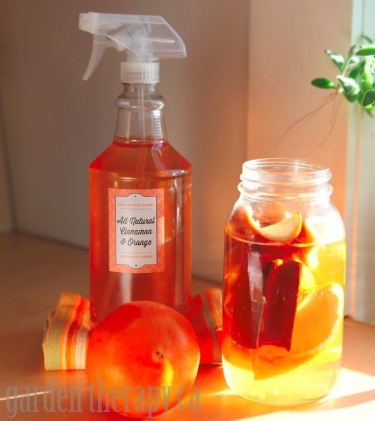 citrusvinegarallpurposecleanerrecipea5 Best 50 Diy M… Flickr