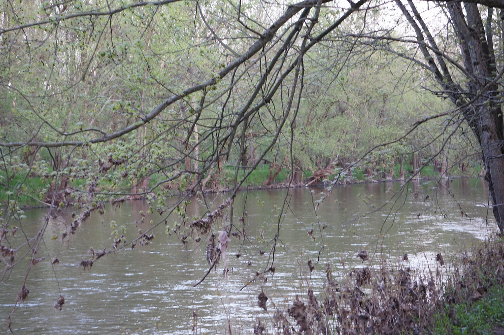 221 Kishwaukee River Russell Forest Preserve DeKalb Co., I… Flickr