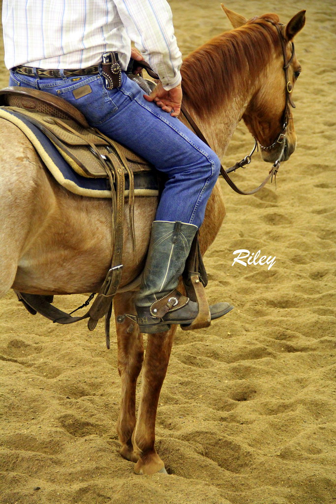 Cutting Horse Show in Minnesota Cutting horses, cowboys, c… Flickr