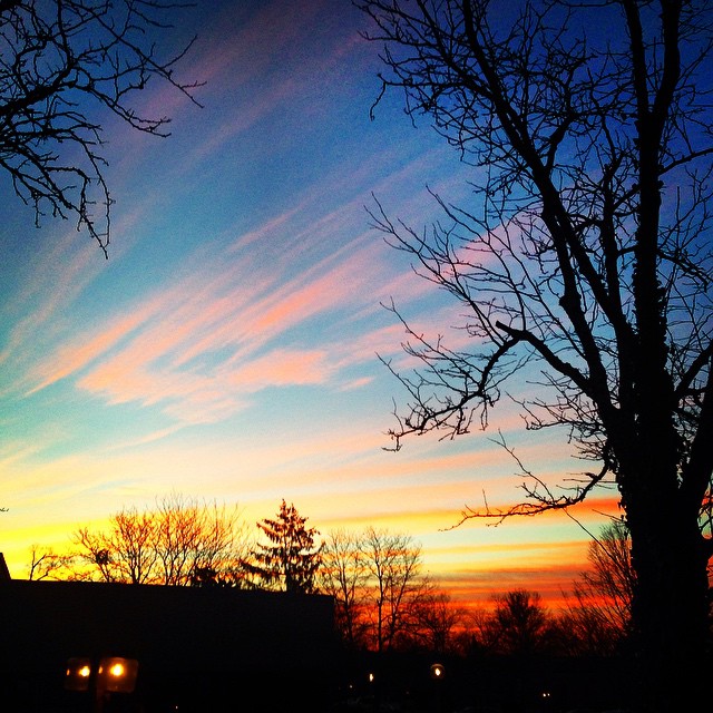 Which direction does the sunrise parmoli