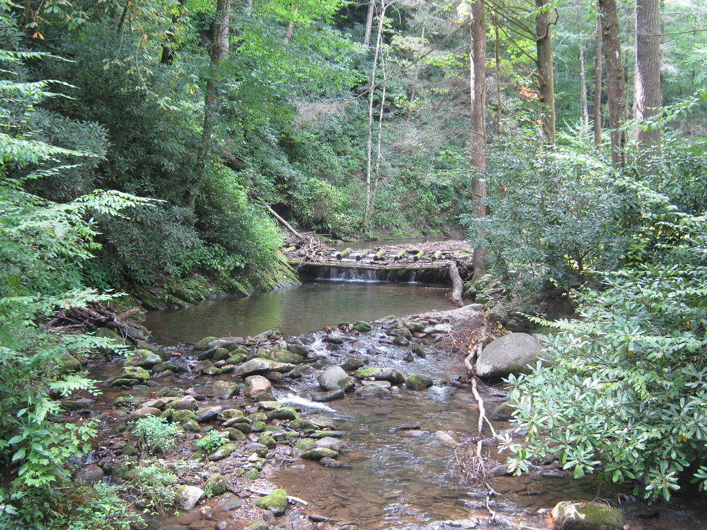 Swimming Hole on Big Creek Pisgah National Forest, North C… Flickr