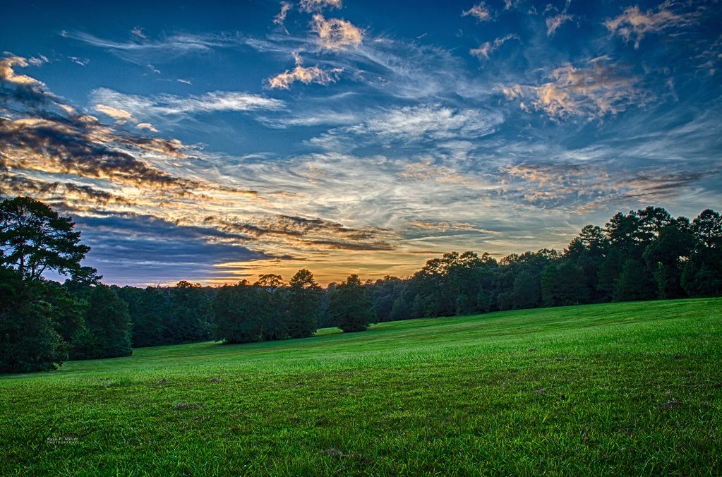 Elevation of Levy Park, Tallahassee, FL, USA Topographic Map