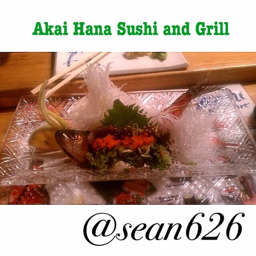 Aji sashimi (Spanish mackerel) at Akai Hana sushi. horsem… Flickr