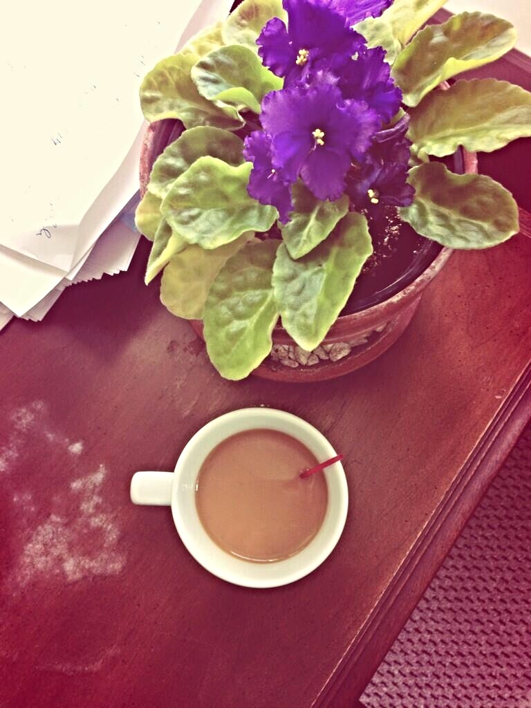 African Violet and my morning coffee The BerryTravelers Flickr