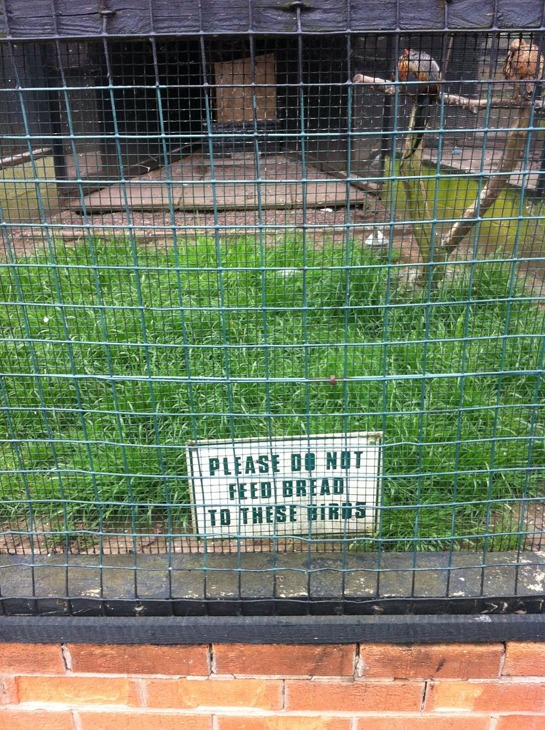 Please do not feed bread to these birds sign This sign in … Flickr