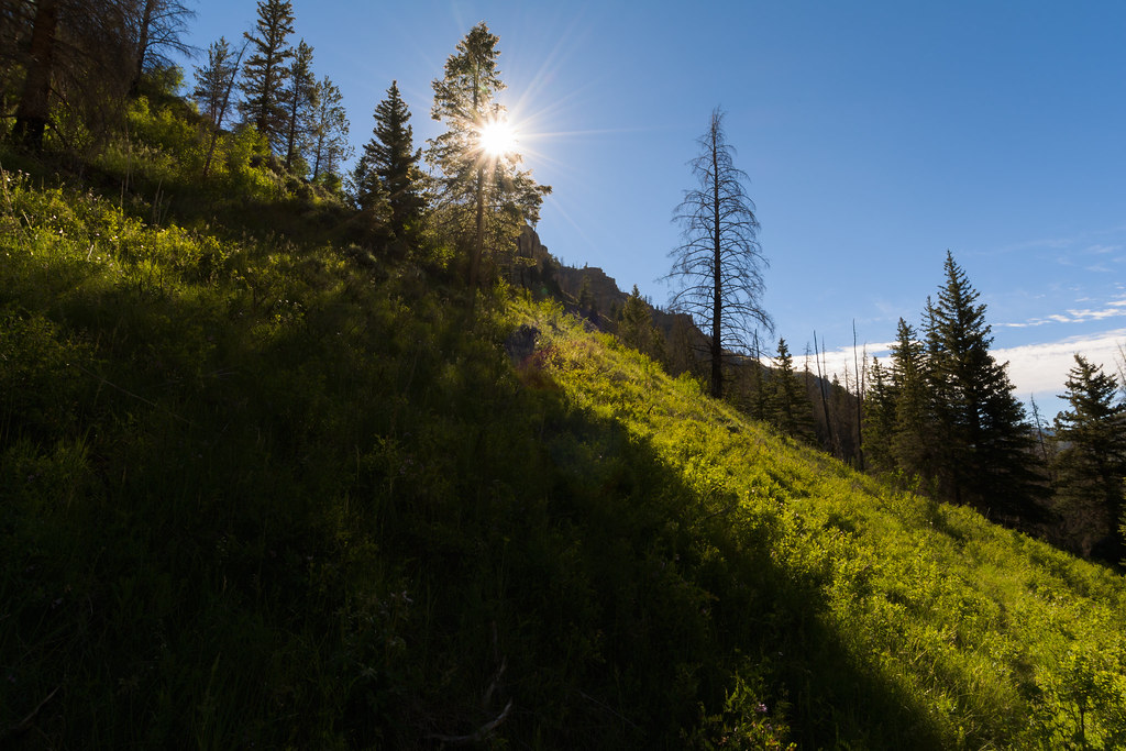 Huntington Canyon sunshine Left Fork of Huntington Creek N… Flickr