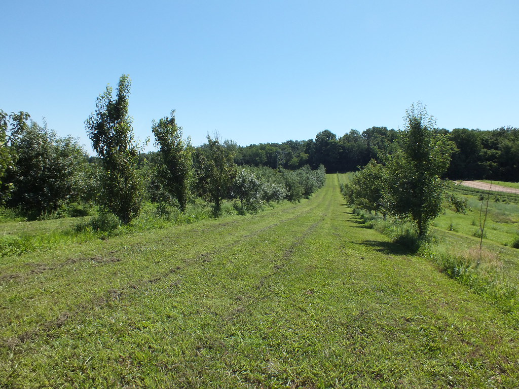 Farm Visit Friday Biltz Greenhouse, Worthington Indiana Ju… SPD