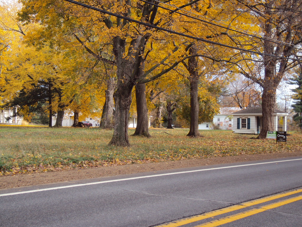 Parma, Michigan David King Flickr