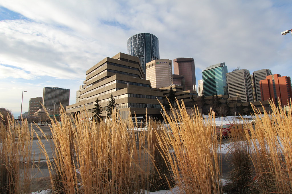 Calgary down town The city of Calgary looking from the Eas… Thank you for visiting my page