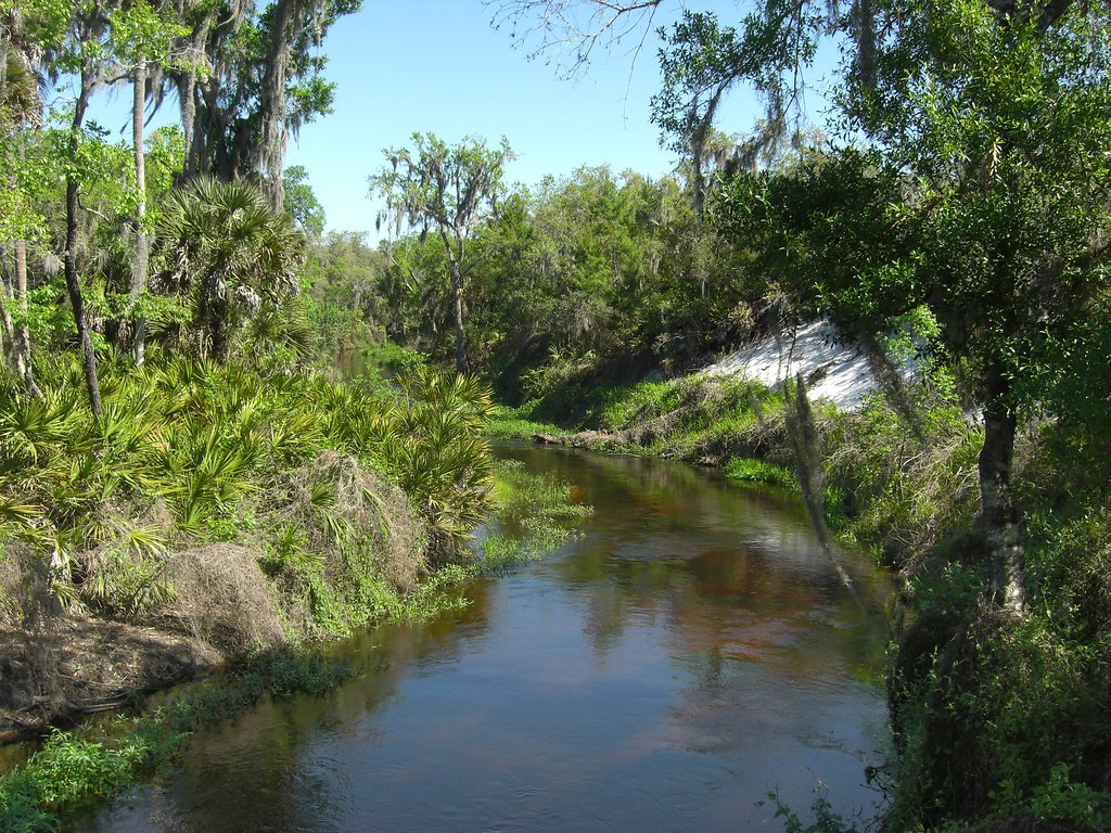 Reedy Creek Trail to Arbuckle Lake, Lake Wales Ridge State… Flickr