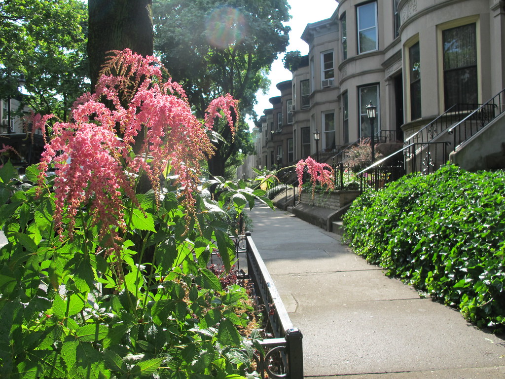 Streetscape Gardening Brooklyn Botanic Garden