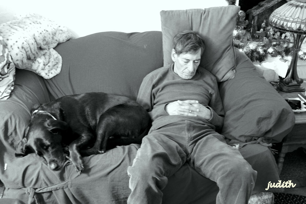 couch potatoes I think the hectic holidays have finally ca… Flickr