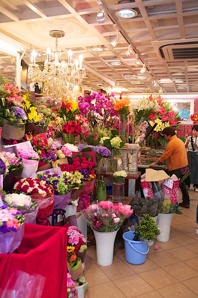 Hong Kong _DSC1977 Flower Market Kowloon Jane drumsara Flickr