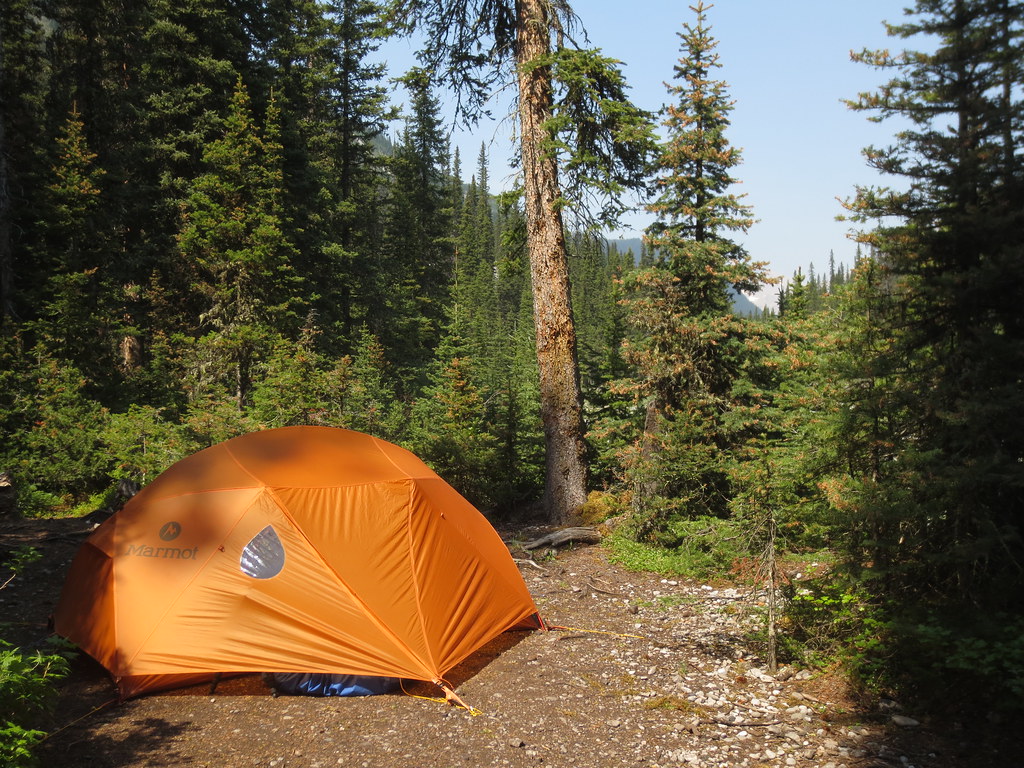 Forks Backcountry Campground Peter Lougheed PP Flickr