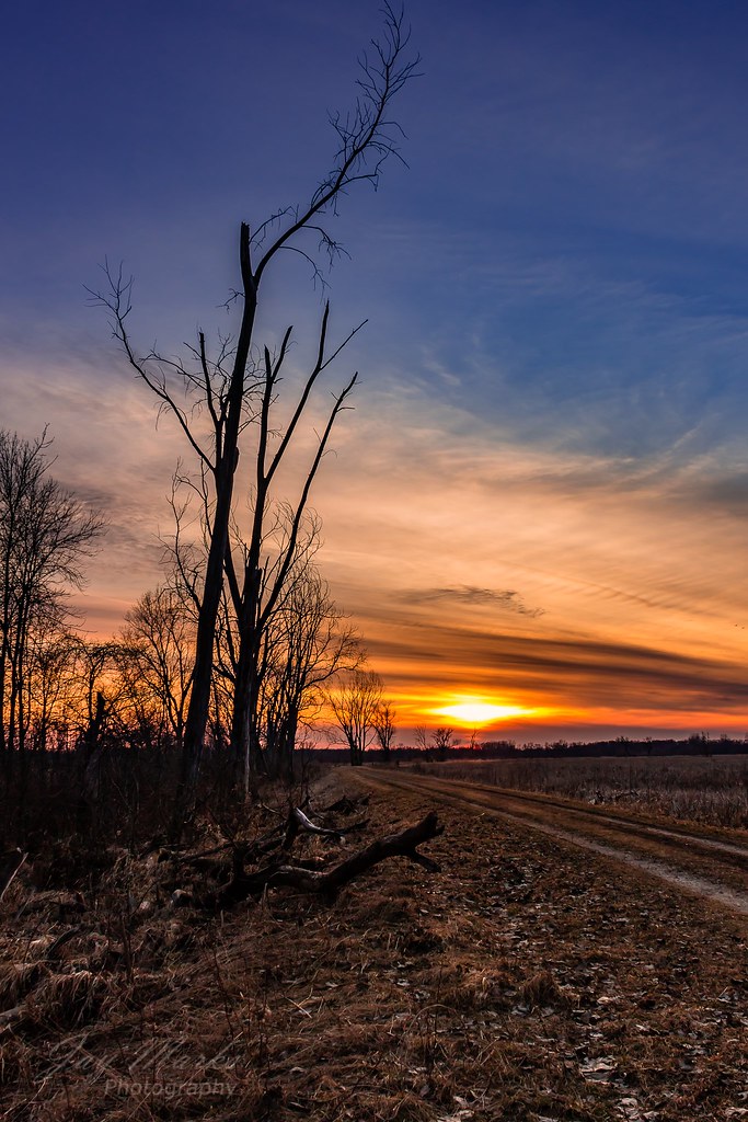 Sunset in the Marsh Orange sunset in the Eldorado Marsh wi… Flickr