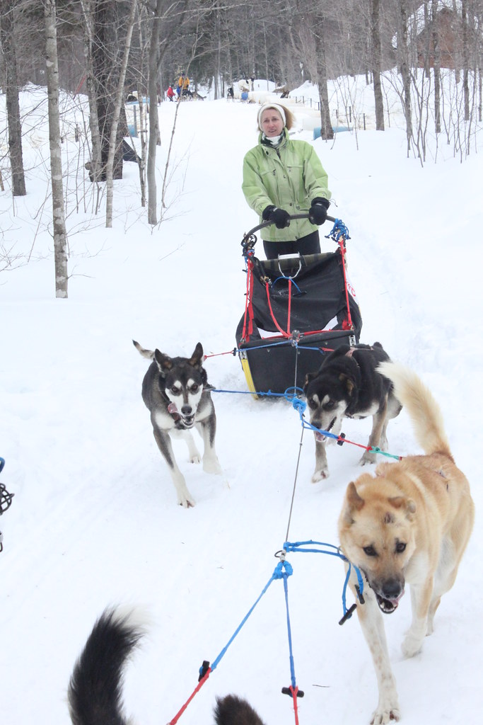 MSUAA Dogsledding Tour Nature's Kennel, McMillan, MI. Marc… Flickr