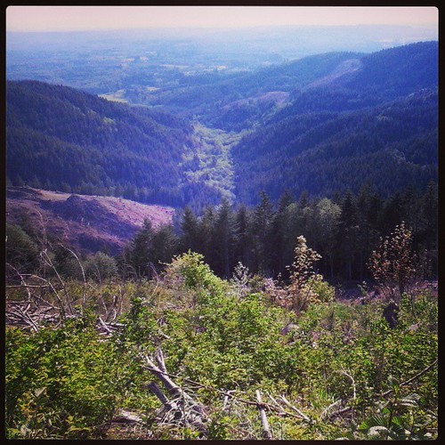 Elevation of Ardnt Rd, Cinebar, WA, USA Topographic Map Altitude Map