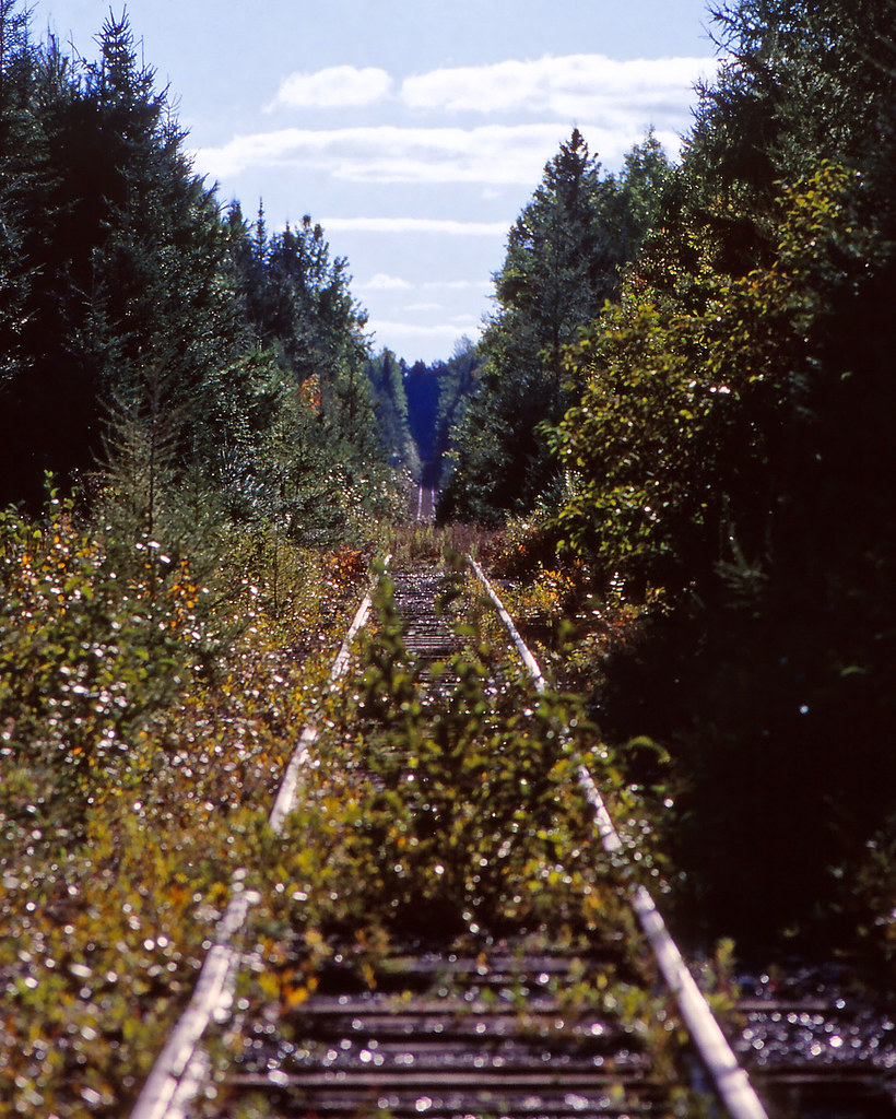 South Shore looking west at Tioga Tioga on the DSS&A just … Flickr