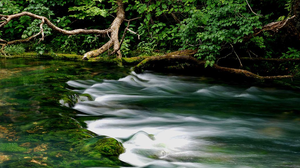 MO2 (461) Blue Spring, MO. Tommy Hornbeck Flickr