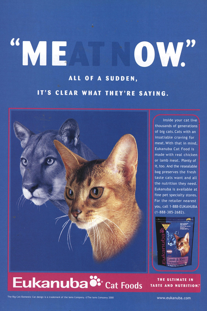 Eukanuba Cat Foods 2001 National Geographic Don O'Brien Flickr