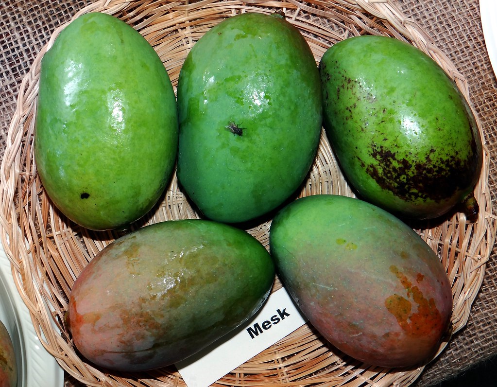 Keo Savoy Mango Tree My mango tree is aliveeeee!! ) Recipe and photo courtesy of mango men