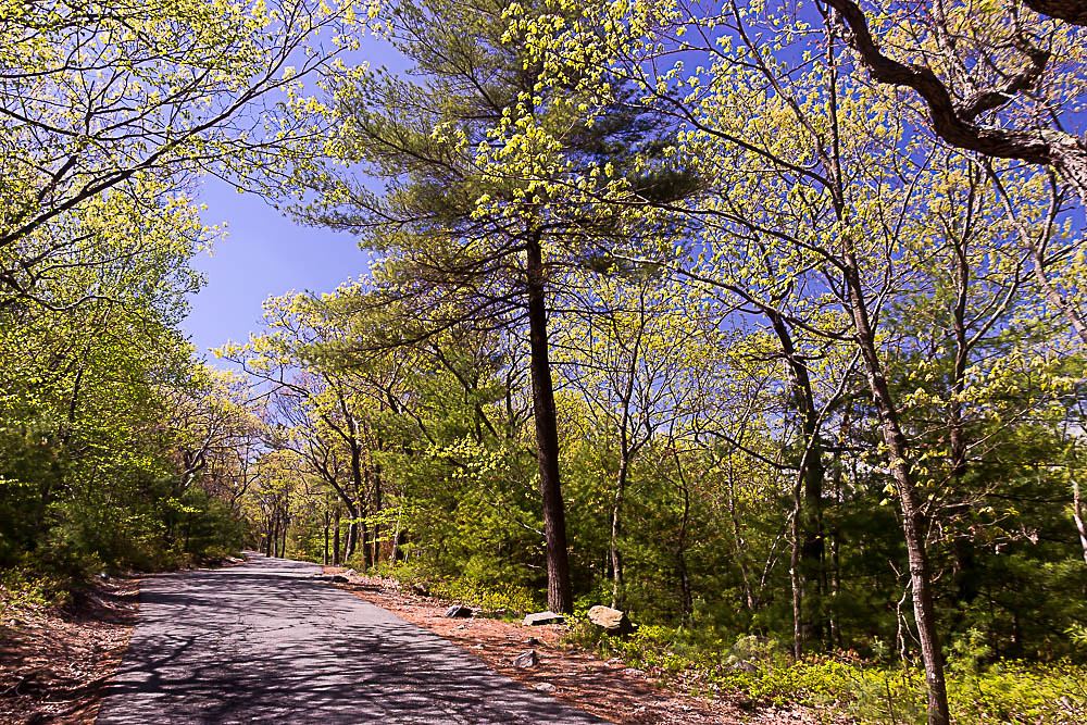 Blue Hills Reservation, May 14, 2016 Blue Hills Reservatio… Flickr