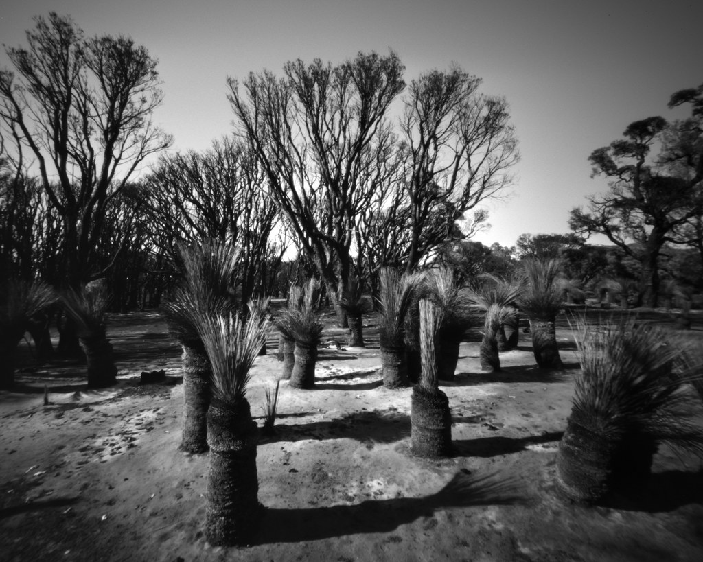 Ellenbrook Bushfire 3 Pinhole Pinhole image taken after … Flickr