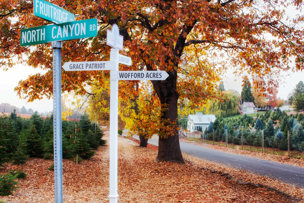 Crossroads Apple Hill Camino, CA El Dorado County Karen Schmautz Flickr