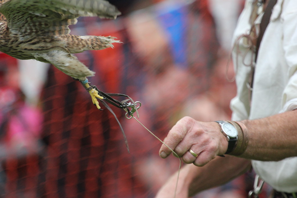 Bird not in hand 'Wrapped around his little finger'. In fa… Flickr