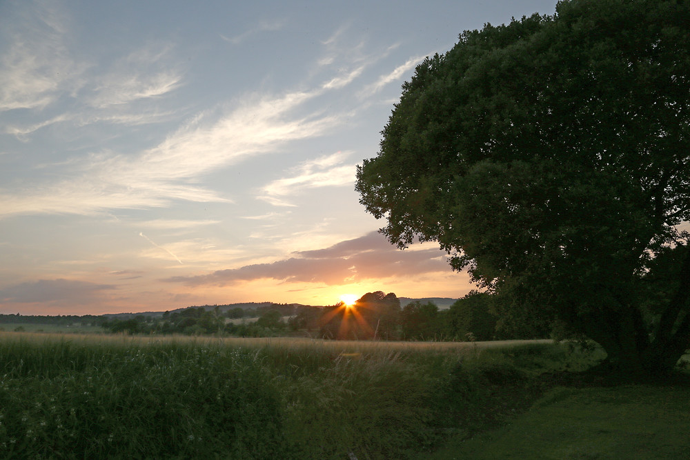 Hill of Hope Race, Strathmiglo. July 2016. Flickr