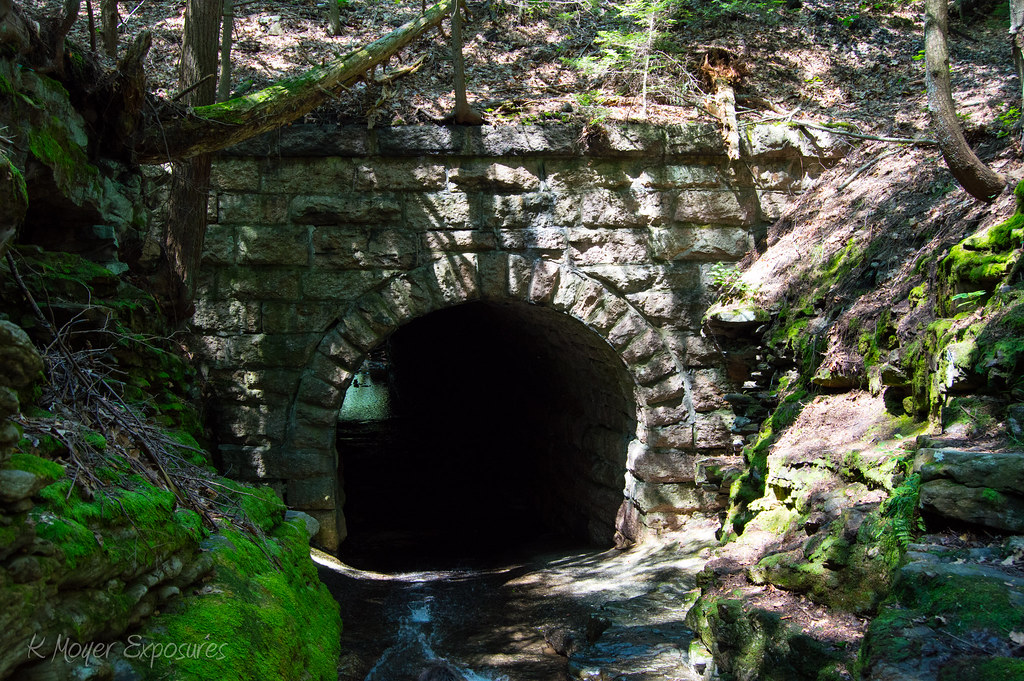 PR0565 Kevin Moyer Flickr