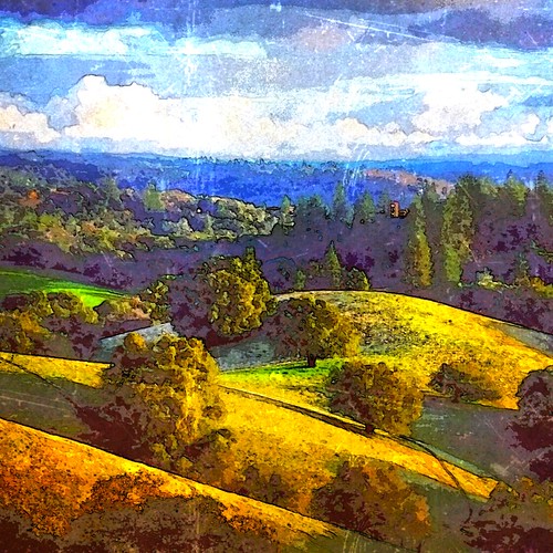 Cynthia Dunnselph Flickr