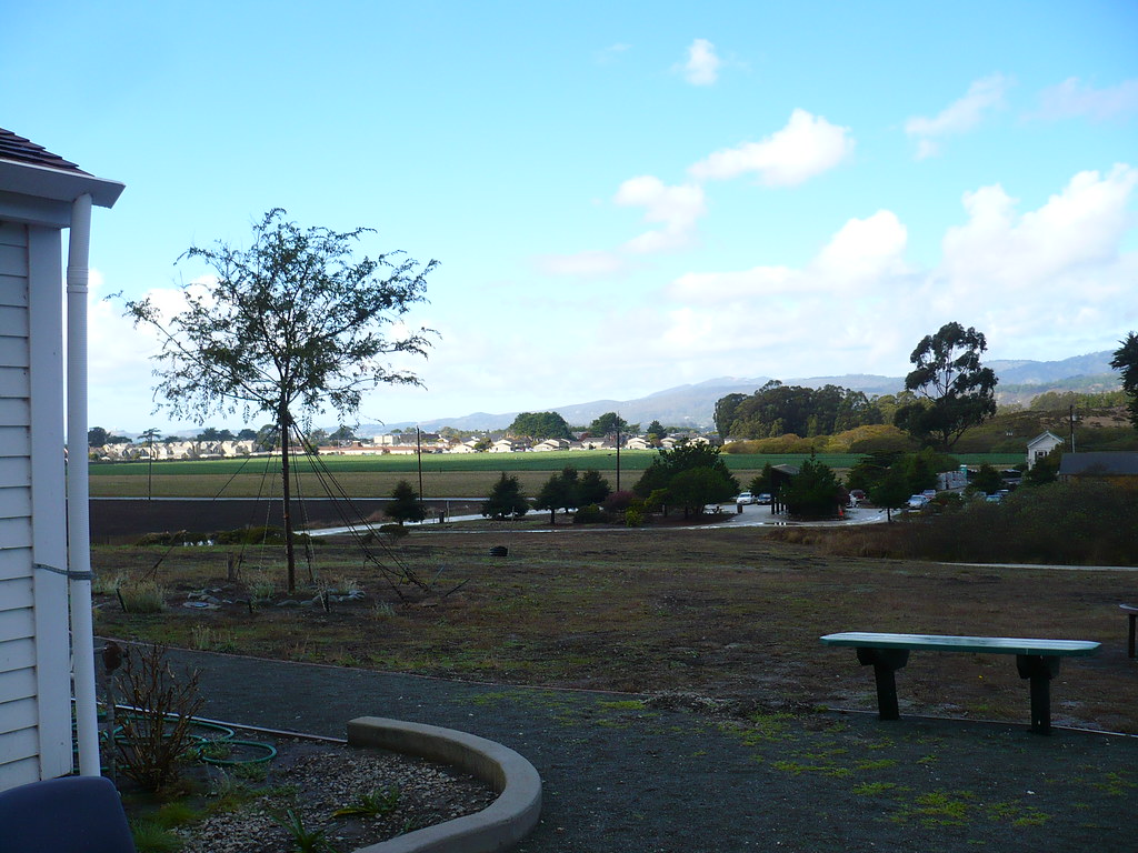 Behind the Johnston house c_nilsen Flickr