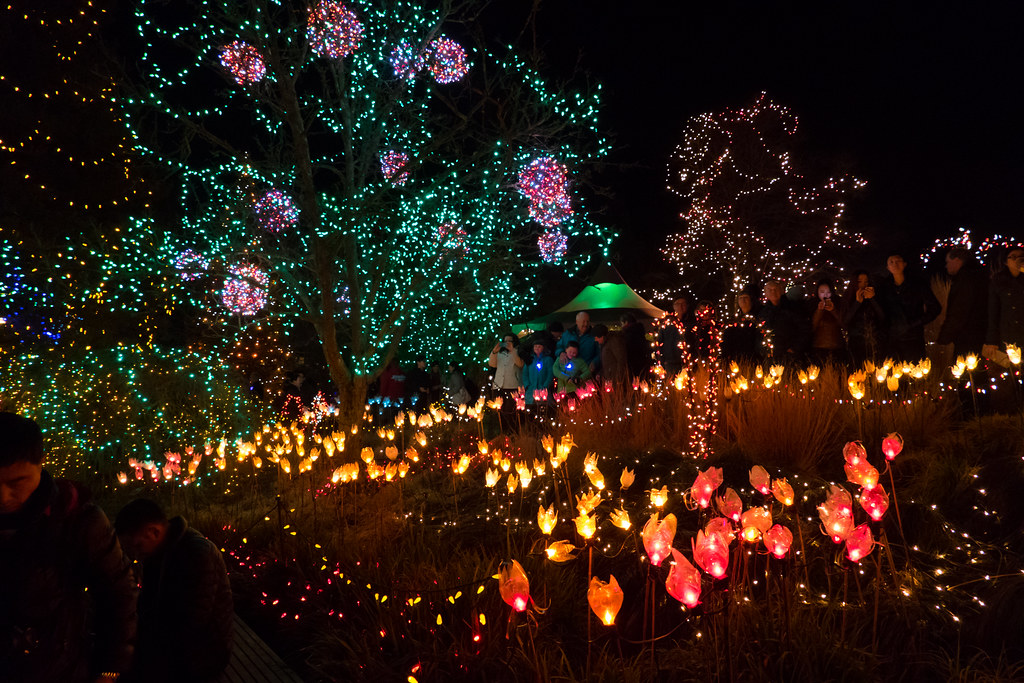 Van Dusen Christmas Lights1220213 Christmas at VanDusen B… Flickr
