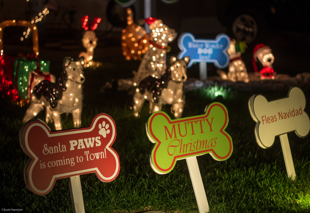Camarillo Holiday Lights Dec. 21, 2014 Decorated homes in… Flickr