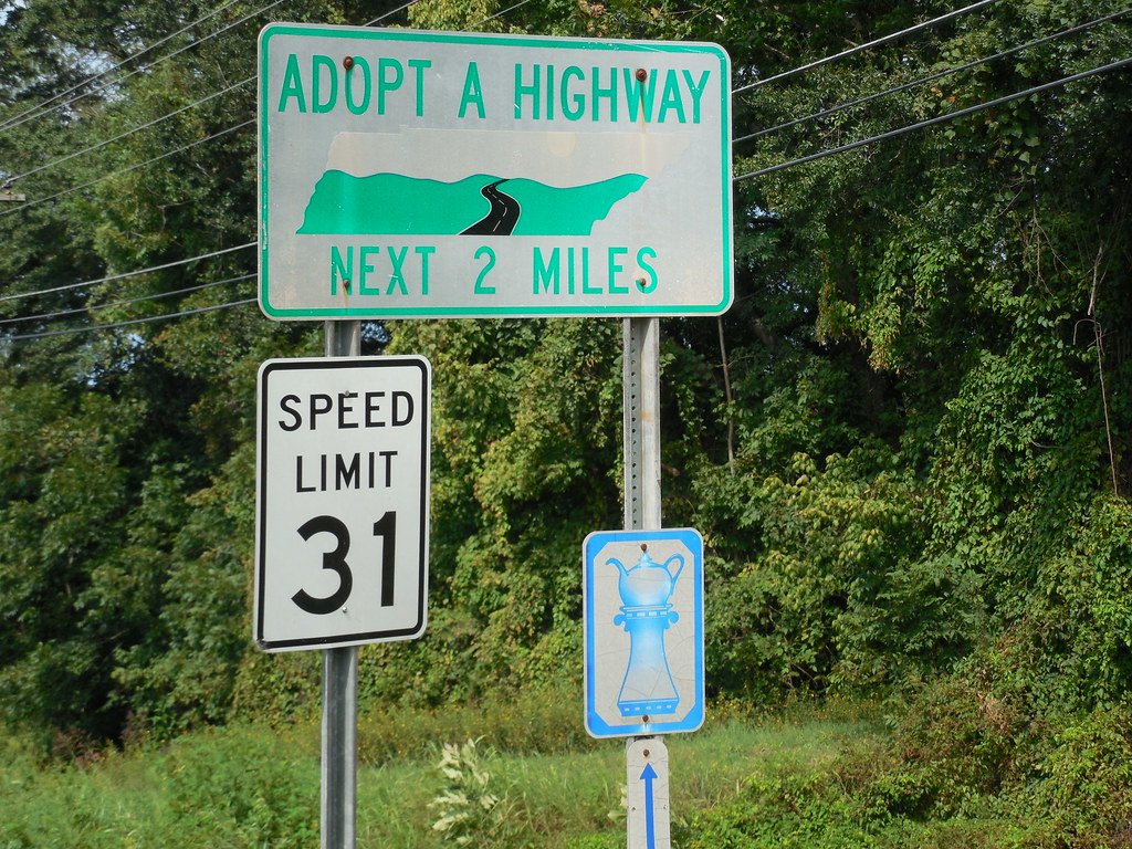 31 MPH Speed Limit a photo on Flickriver