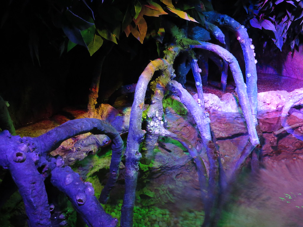 Ripley's Aquarium of Canada, Toronto, Ontario Ripley's Aqu… Flickr