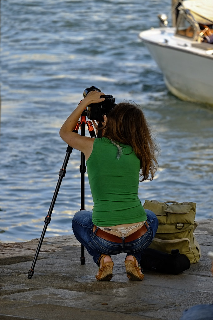 Whaletail Flickr