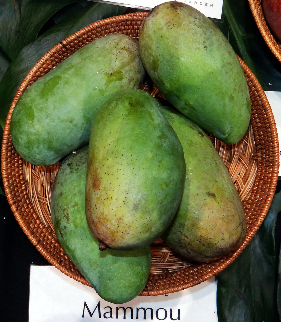 Mango 262 MAMMOU =======================================… Flickr