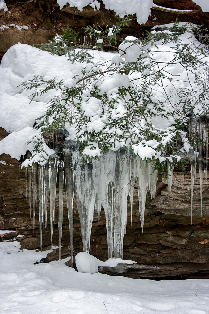 20110116 Stebbins Gulch Flickr