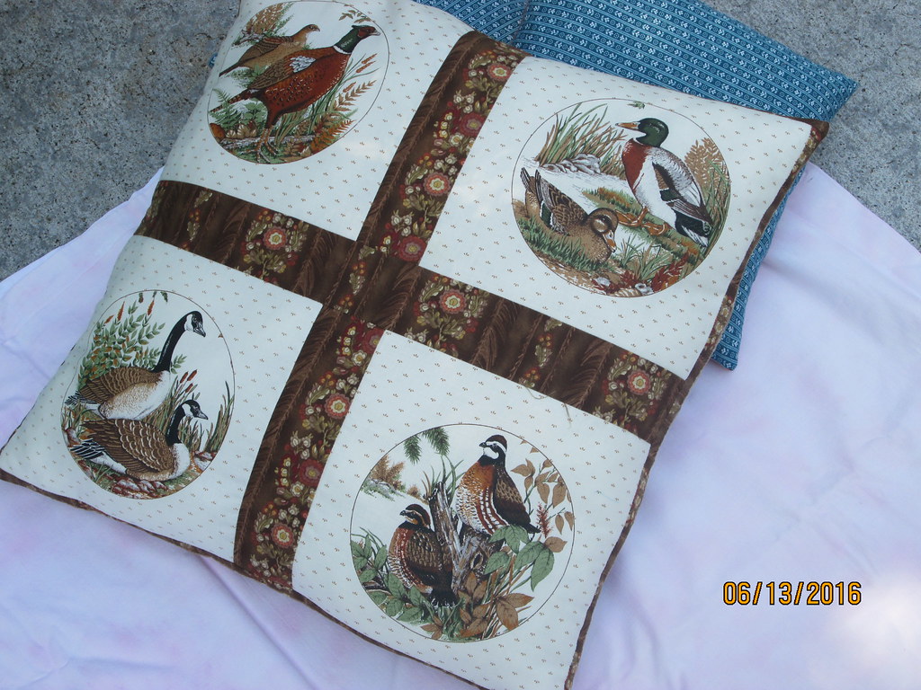 Pillows donated to Humane Thrift 6.10.16 Flickr