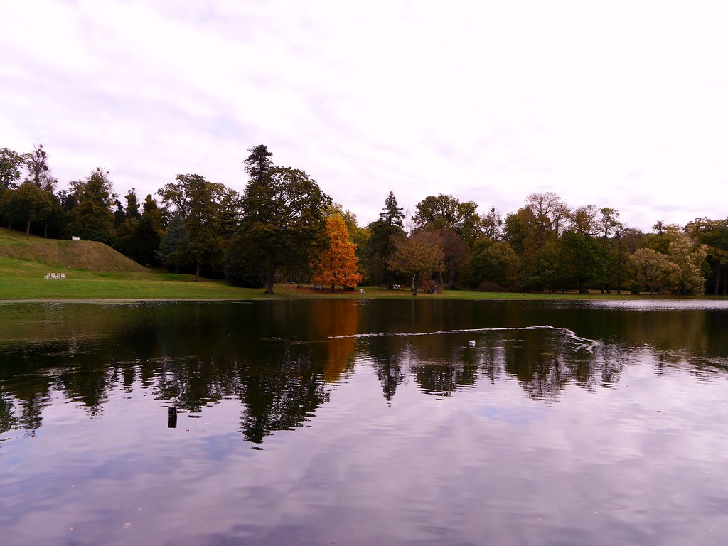 Claremont Gardens October 2014 Flickr